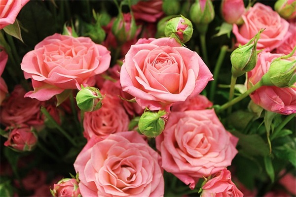 一场失败的婚姻句子 对婚姻失望心酸的语句