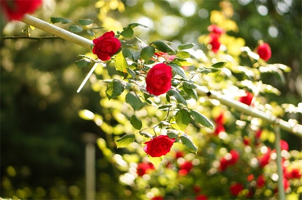 2025抖音火爆句子 幽默又夸老师的俏皮话