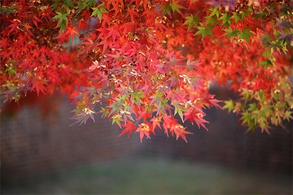 文案短句干净治愈阳光 又可爱又沙雕的句子