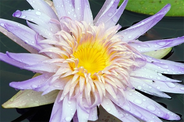 对美好生活的向往的句子,对生活美好憧憬的句子