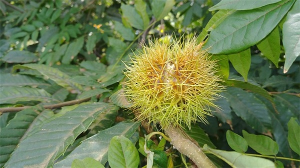 晒日常生活的句子 晒娃日常生活的句子