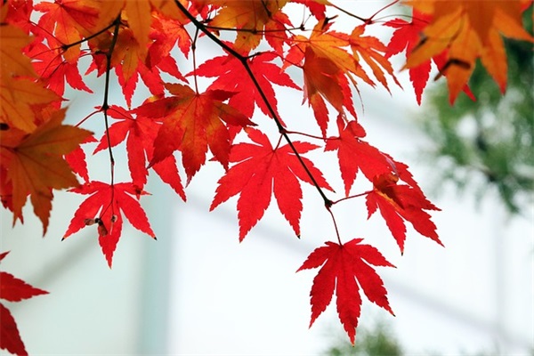 水利水电工程师论文