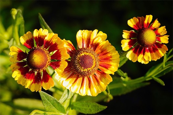 现代物流管理的理解