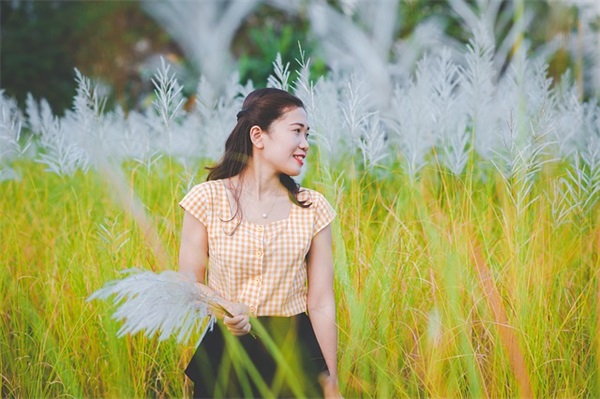 描写紫藤花的唯美短句精选33条