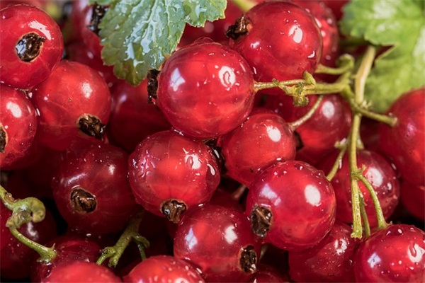 成本会计实操培训范例6篇