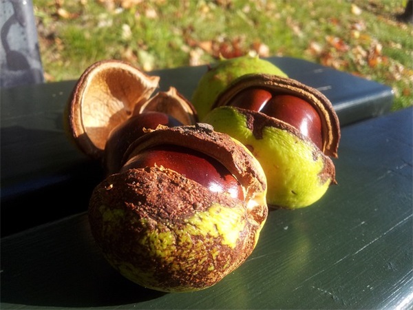 人生格言经典短句65条