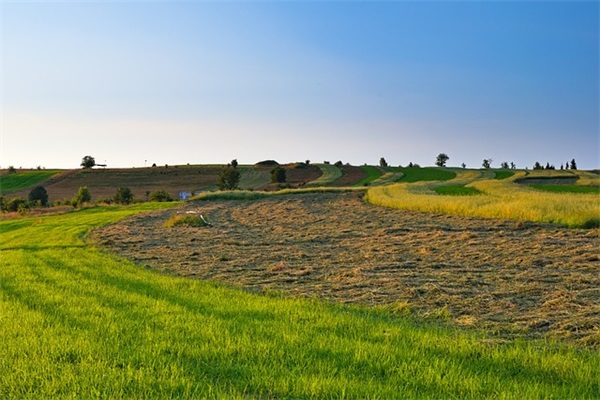 虎子和娘范例6篇