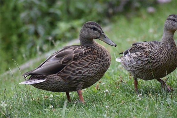 感恩书信大赛范例6篇