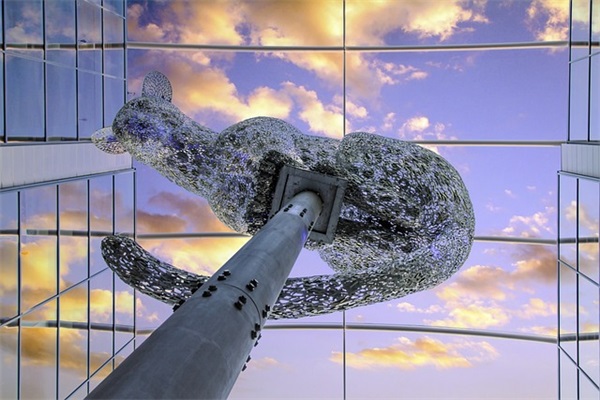 可行性研究报告书