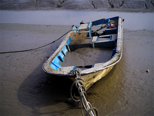 职业生涯规划教案