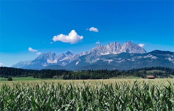 杜甫：秋兴八首