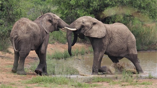 会议新闻稿（通用15篇）