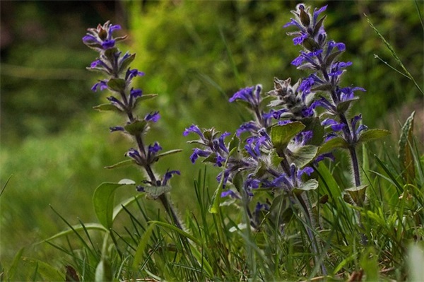 描写心动的甜蜜句子摘录60条