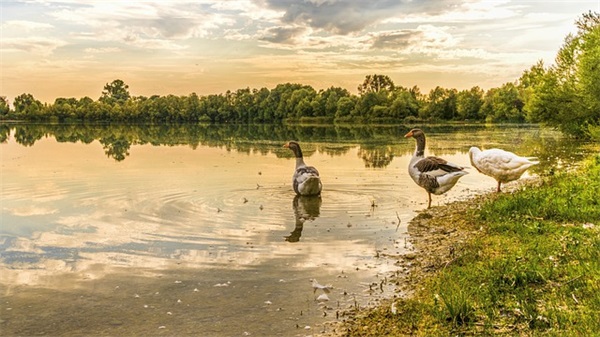 讽刺人情味单薄的句子锦集58条