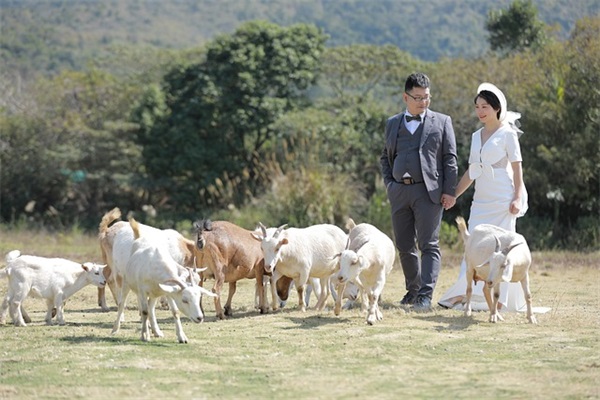 婚姻久了逐步步入平淡生活的句子43条