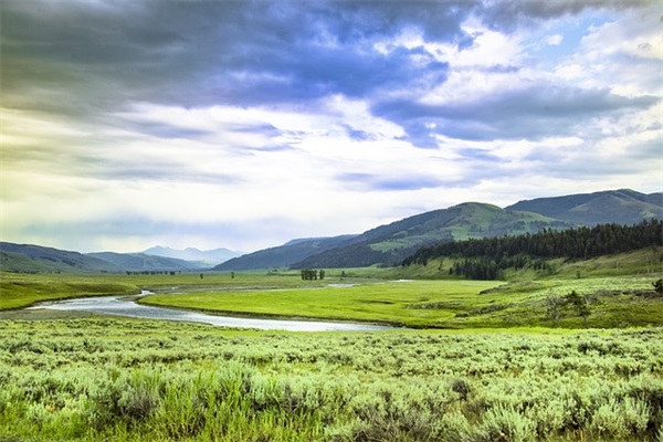 负重前行的励志句子29条