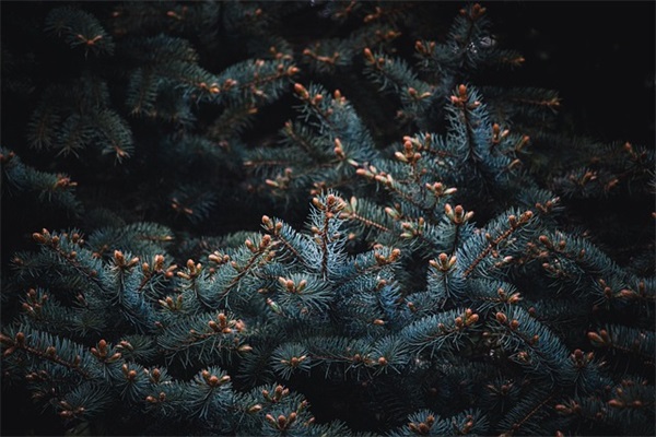 2024抖音最火晒娃的句子(精选130句)