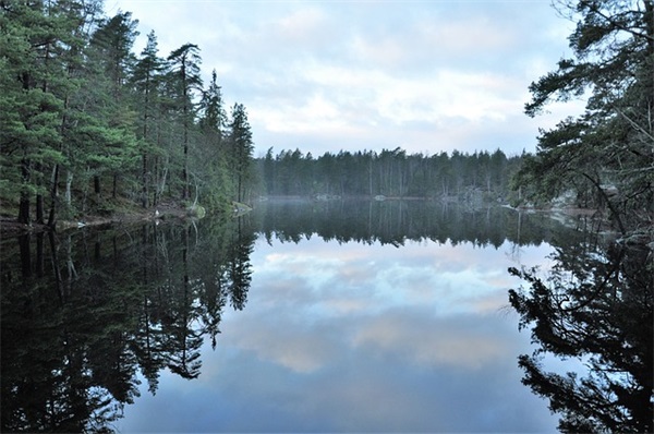 向男生表白的话