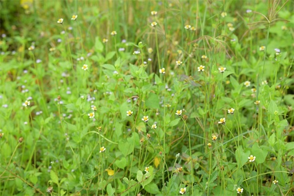 男生游戏名字时尚文艺简单干净（好听稀少男生游戏名字时尚文艺）