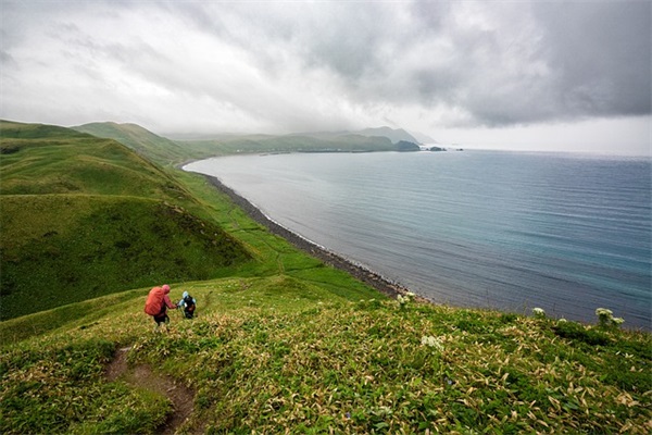 2026年最火的花店名800个