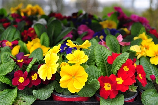 游戏名字古风四字