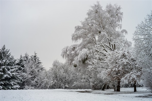 寓意好的淘宝店名 淘宝店好听的店铺名