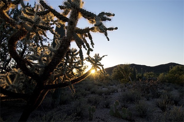 朋友圈热门经典网名(精选239个)