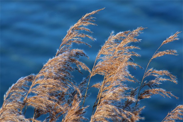 问道名字符号优选150句