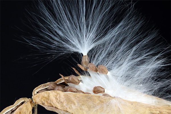 古风网名有寓意 ，寓意满满