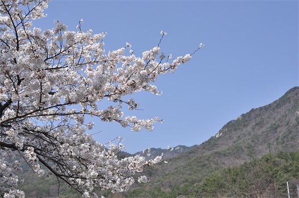 二字网名昵称汇总24个