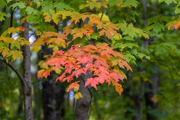 闺蜜网名2个人霸气二个字【优选93个】