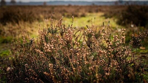 微信网名大全简单大方102个