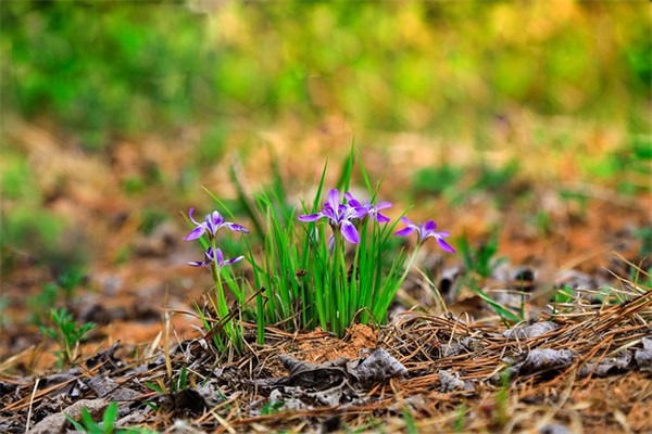 网名特殊符号漂亮的男【85个精选】