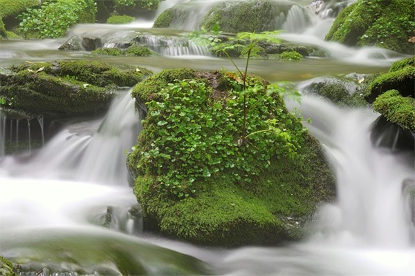 简单大方接地气的网名汇总92个