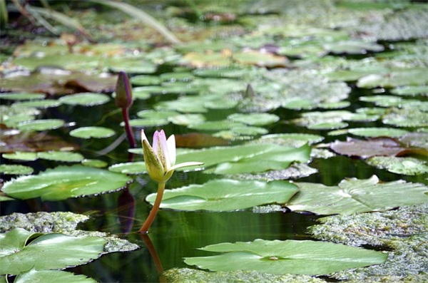 带前任的网名英文简短女