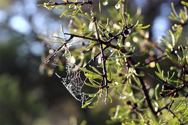 带皆失的6字网名