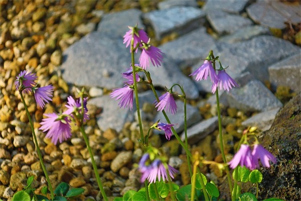 带错过的情侣网名