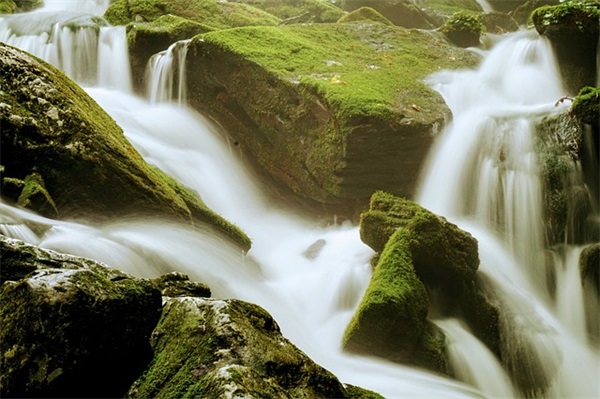 优美又有哲理的句子