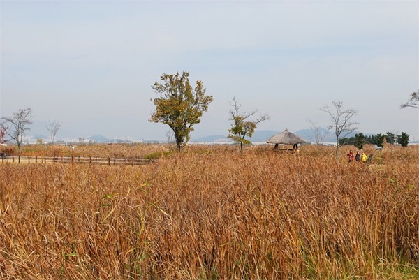 表达父爱最感人的句子 父亲节简单感人话语