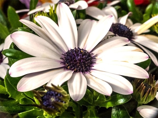 2025年父母写给孩子的励志句子