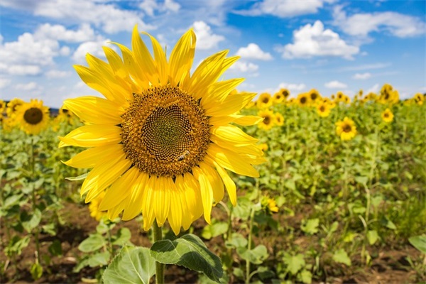 励志的话致自己2025 充满正能量的句子