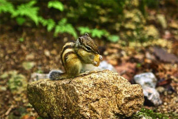 2025致敬疫情前线医护人员的话 向疫情医务人员致敬的句子
