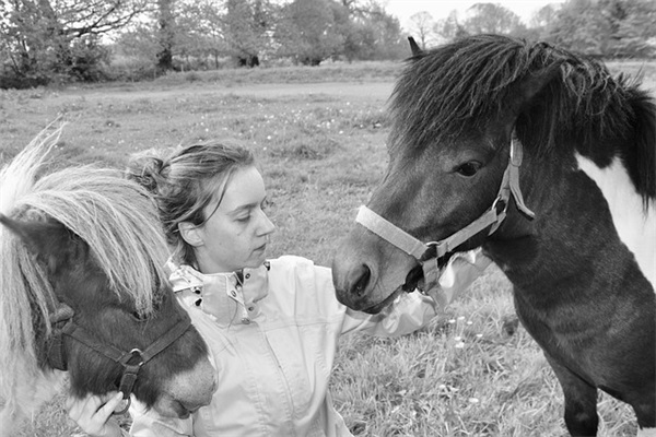 有关尊严的句子