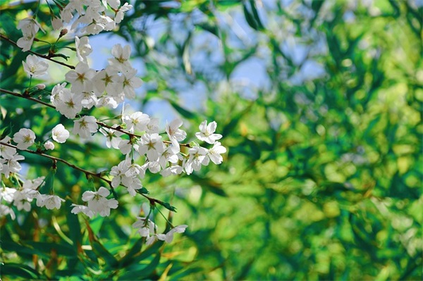 暑期社会实践报告表范例6篇