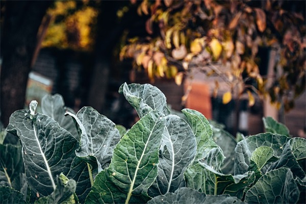 经济伦理学论文范例6篇