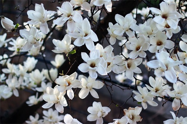 价值观论文范例6篇