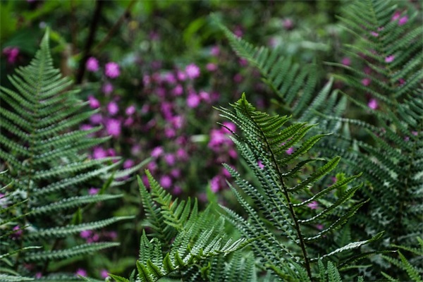 同一首歌串词范例6篇