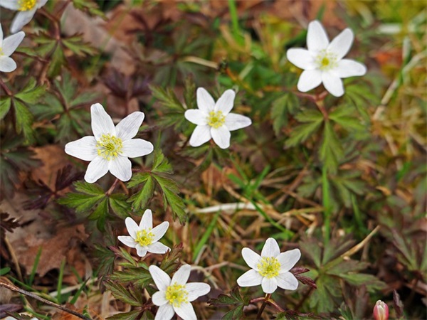 给媳妇甜蜜留言短句摘抄