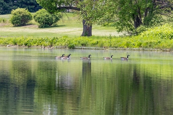 半年度会议致辞(精选3篇)