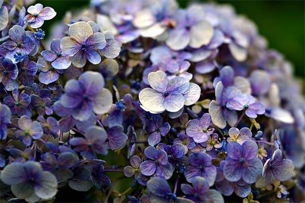 在迎接建党百年的日子里(精选5篇)